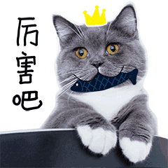 1491792399933488.gif 0_wx_fmt=gif&tp=webp&wxfrom=5&wx_lazy=1 (3).gif