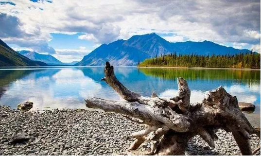 1555170739378421.png image.png