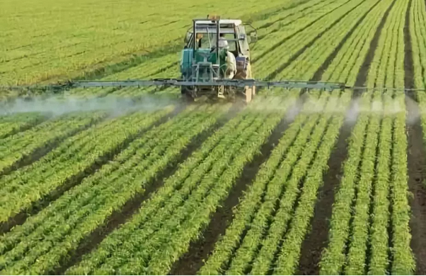 1555170825707958.png image.png