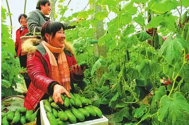 1555170857700213.png image.png