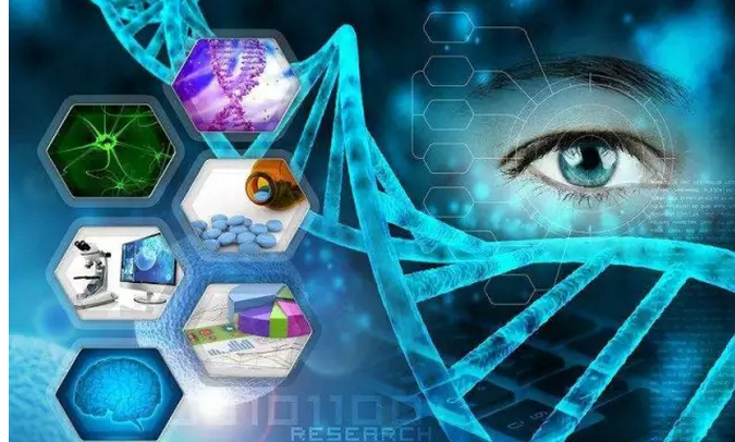 1555173483807835.png image.png